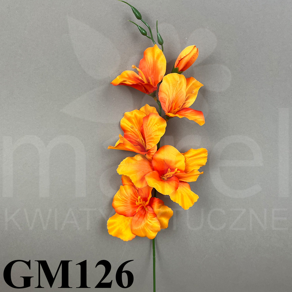 GM126.jpg