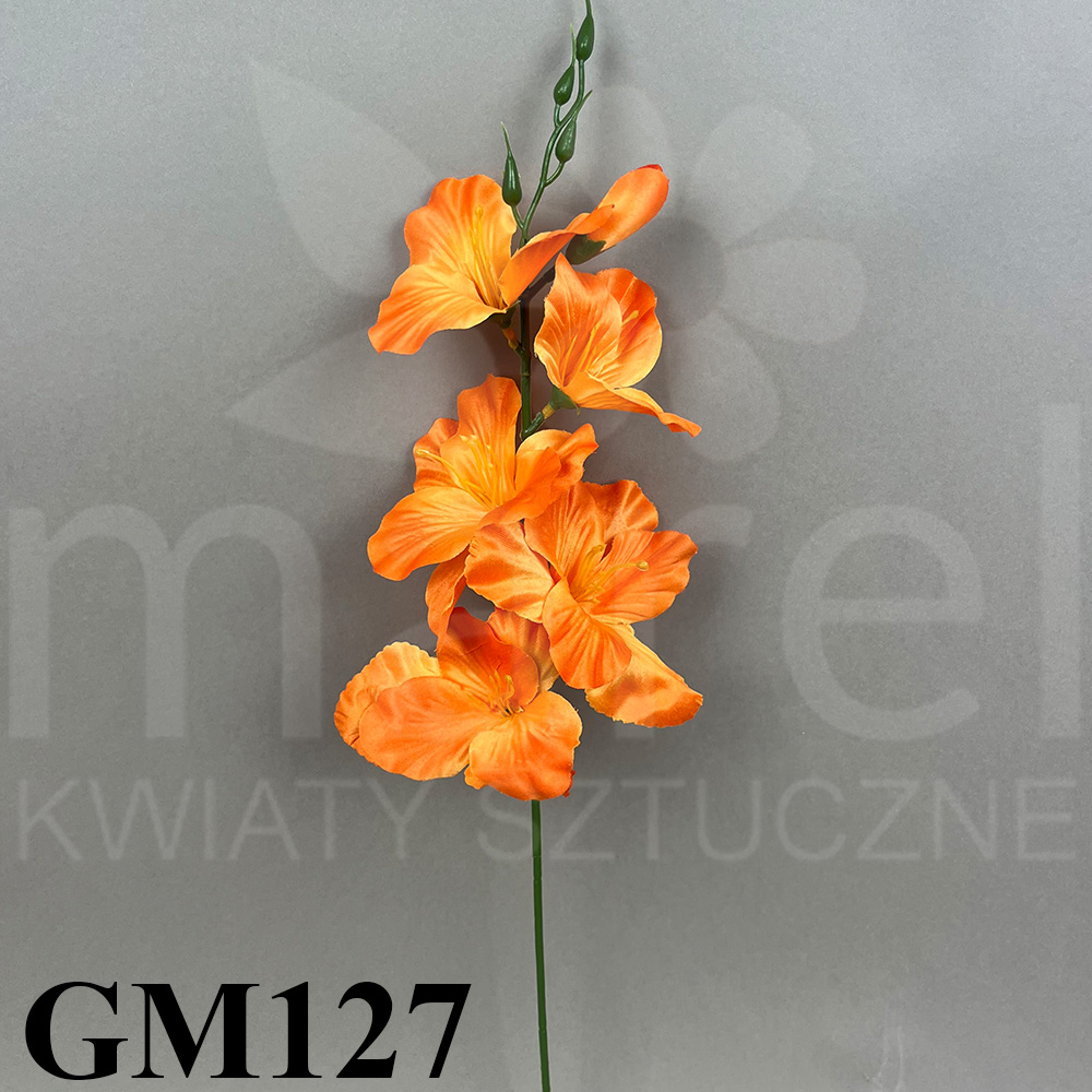 GM127.jpg