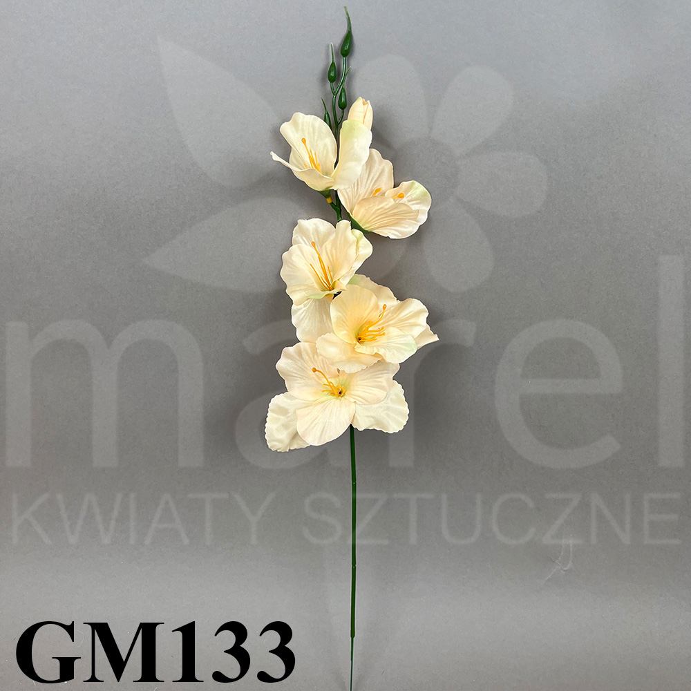 GM133.jpg