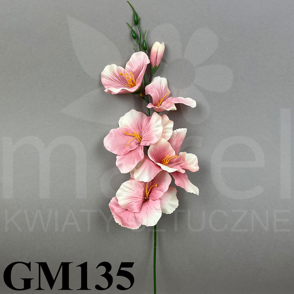GM135.jpg