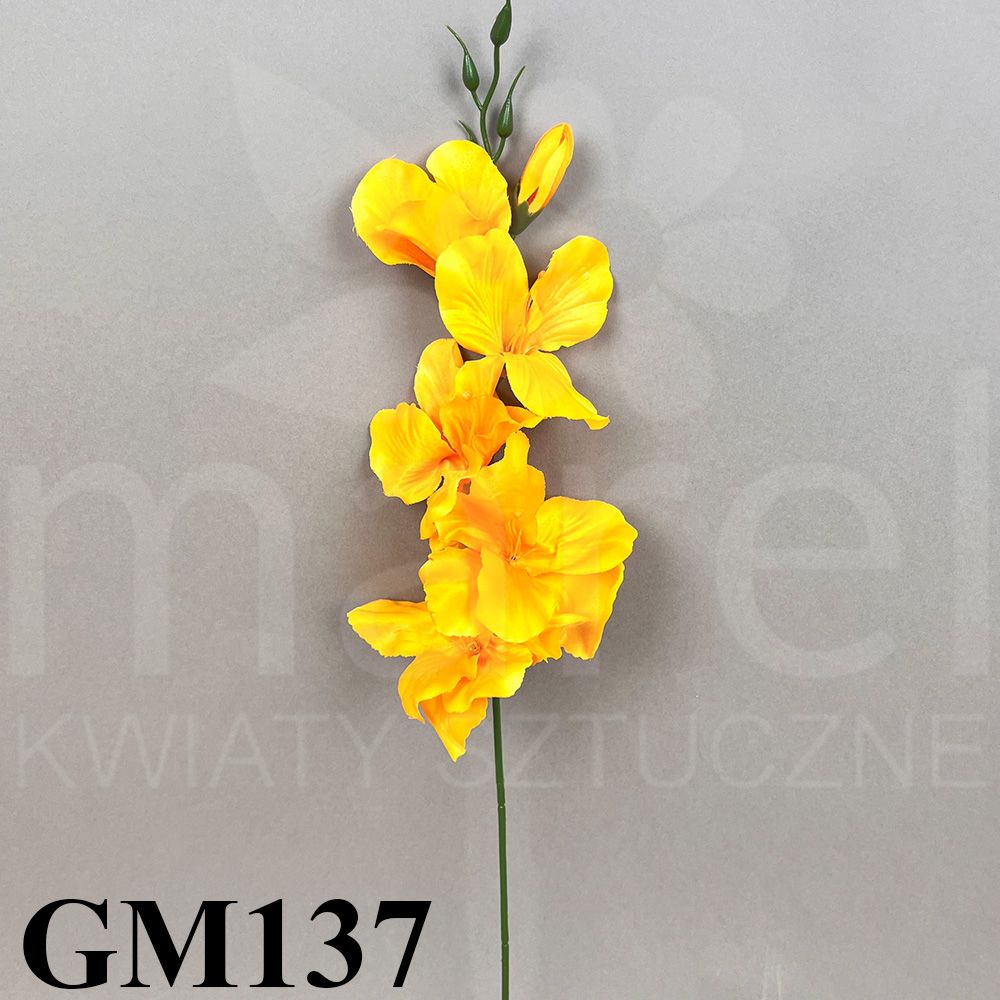 GM137.jpg