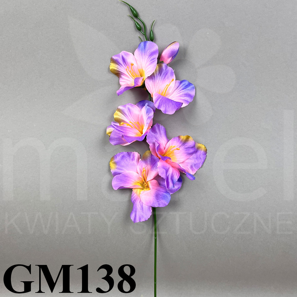 GM138.jpg