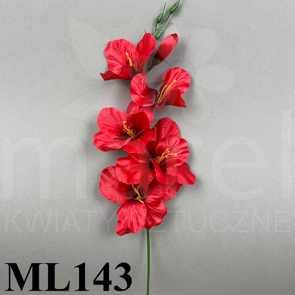 ML143.jpg