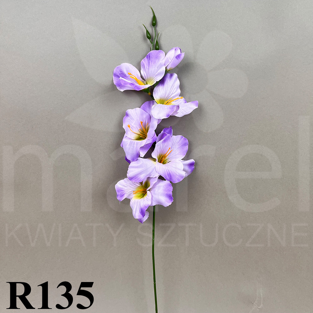 R135.jpg