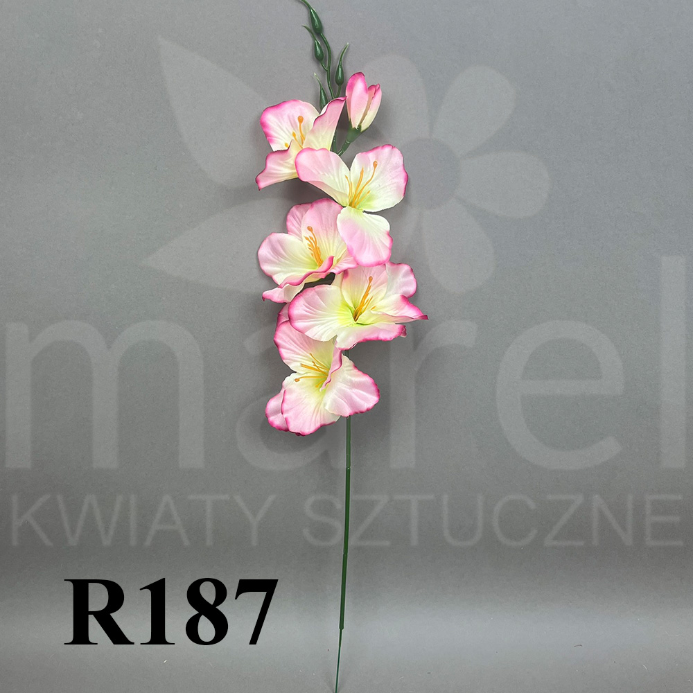 R187.jpg