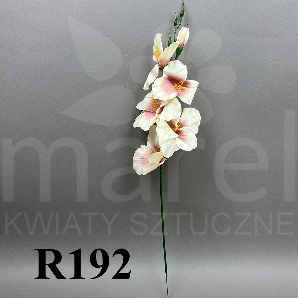 R192.jpg