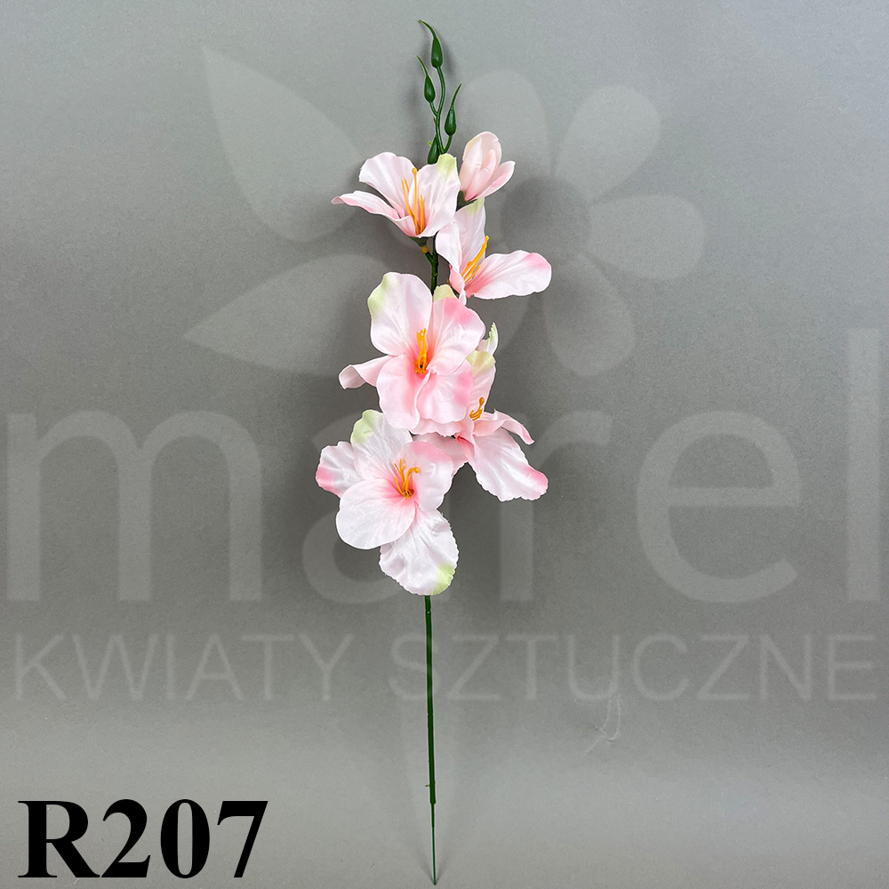R207.jpg