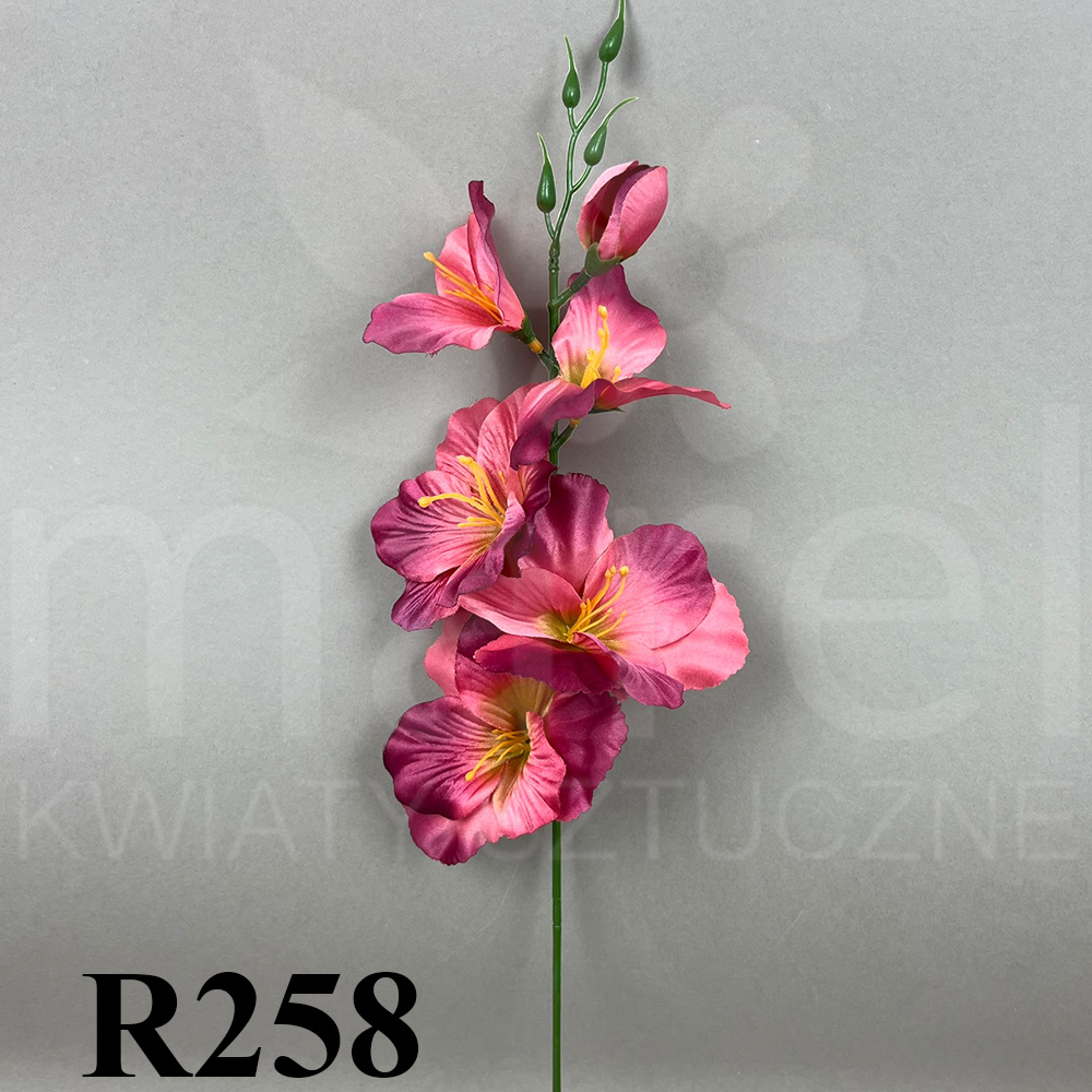R258.jpg