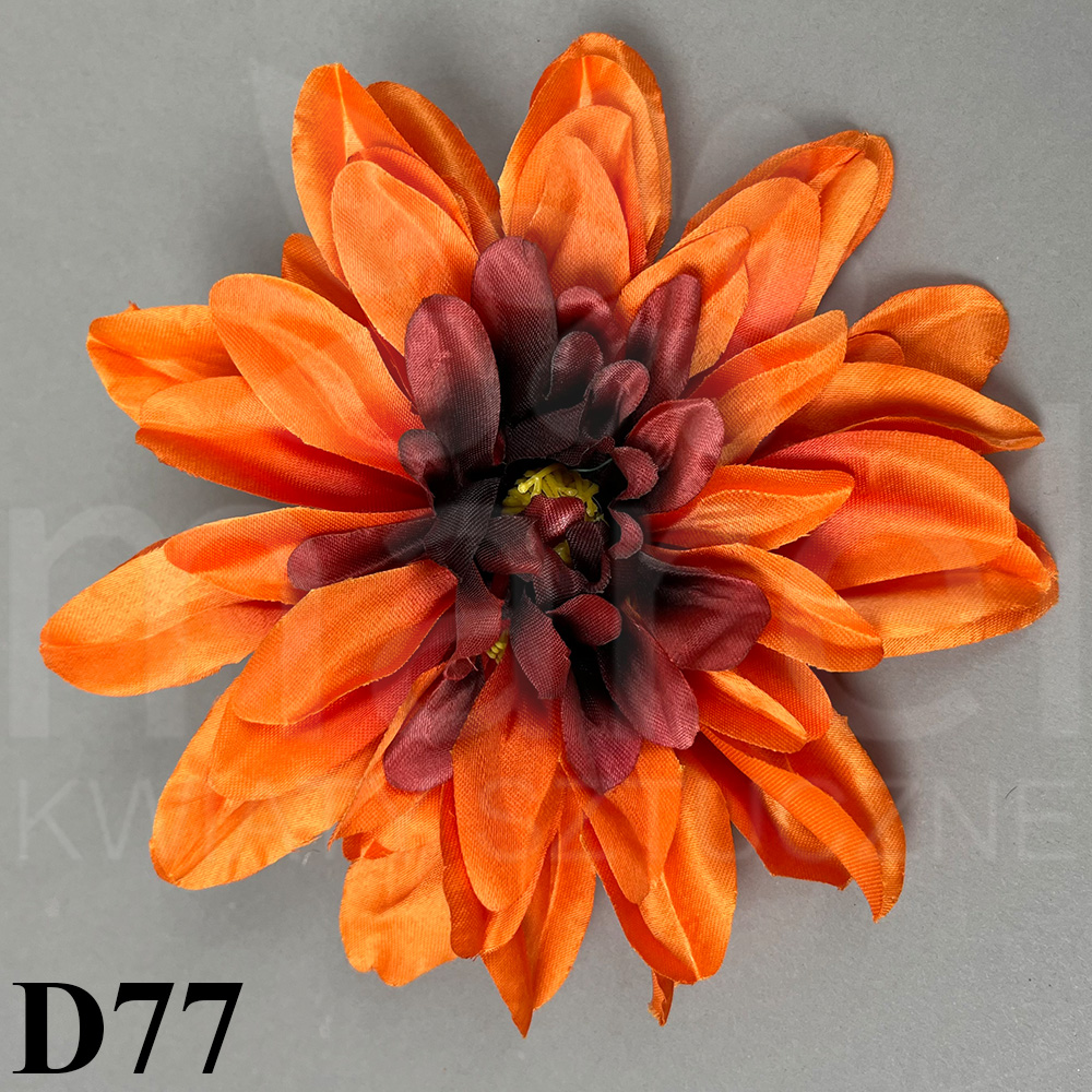 D77.jpg