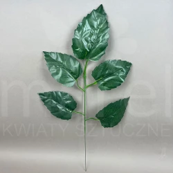 Liść LVS-001/CF15-40