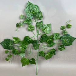 Liść winogron MRL00449