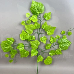 Liść winogron MRL00432