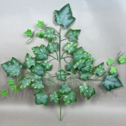 Liść winogron MRL00425