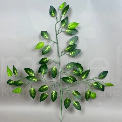 Liść beniamin MRL00005H