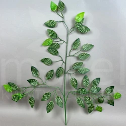 Liść beniamin MRL00005F