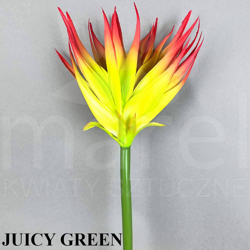 JUICY GREEN.jpg