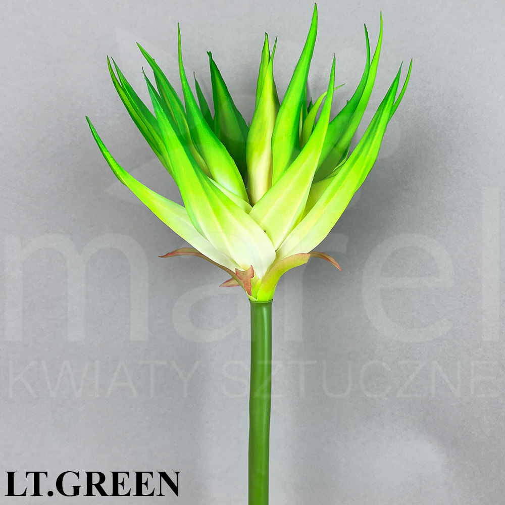LT.GREEN.jpg