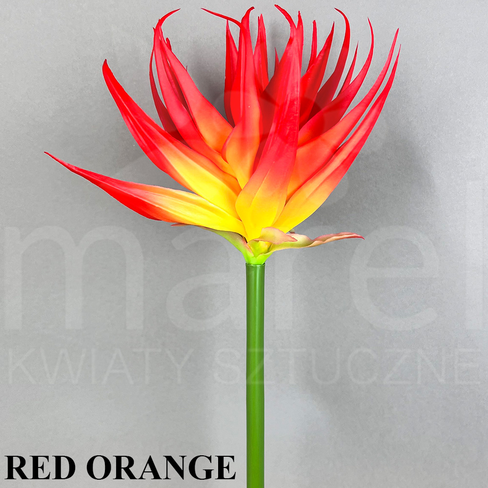 RED ORANGE.jpg