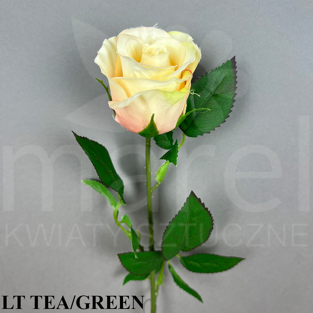 LT TEA GREEN.jpg