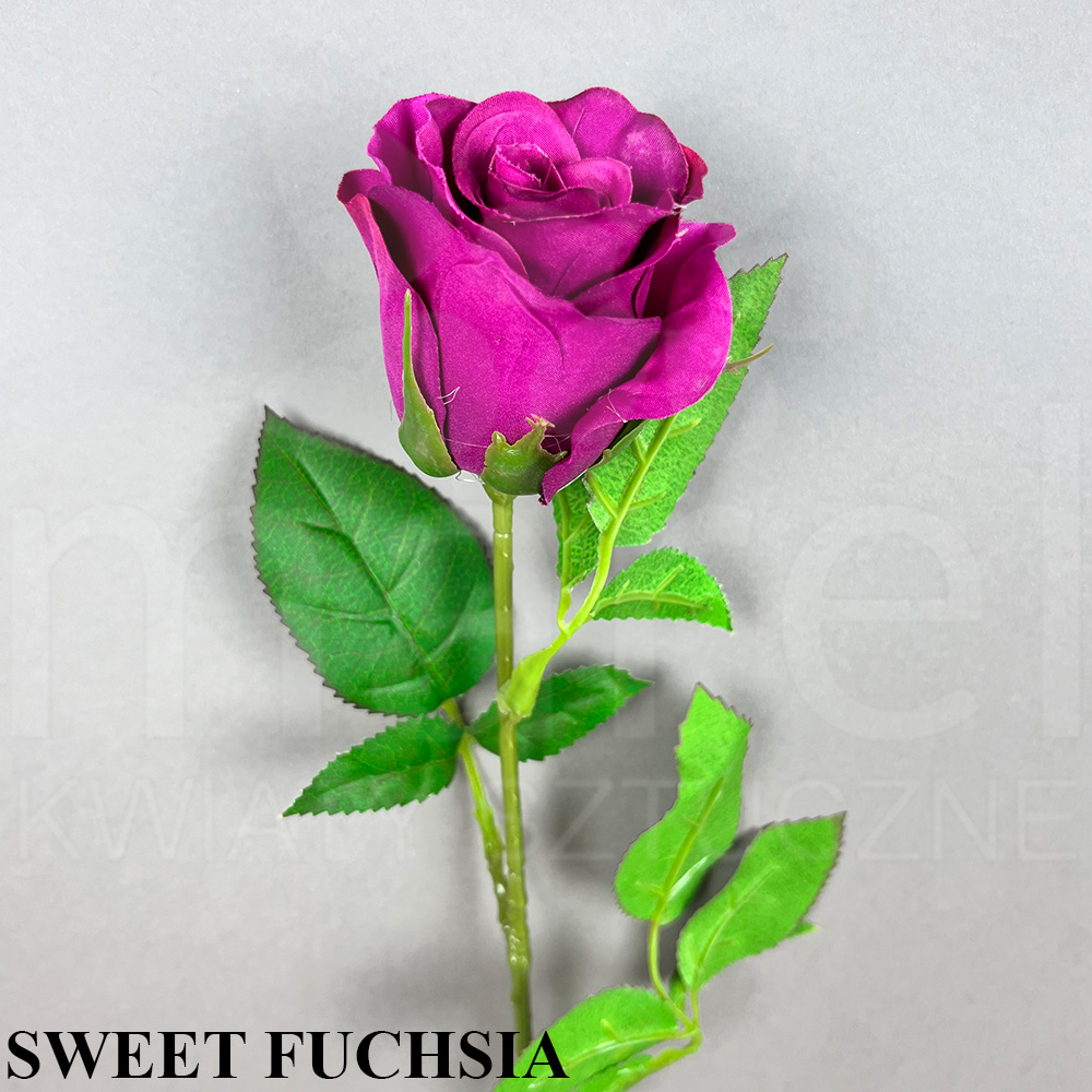 SWEET FUCHSIA.jpg