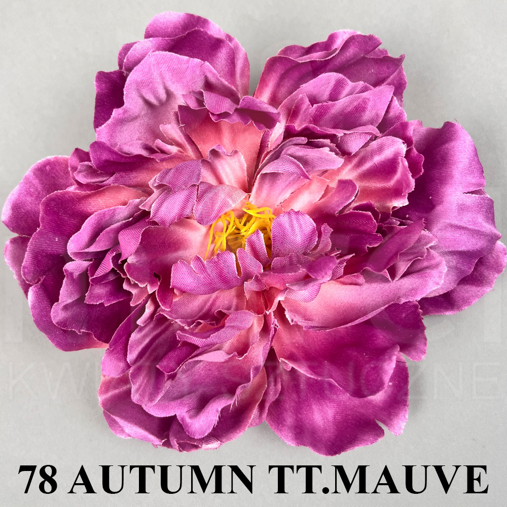 78 AUTUMN TT.MAUVE.jpg