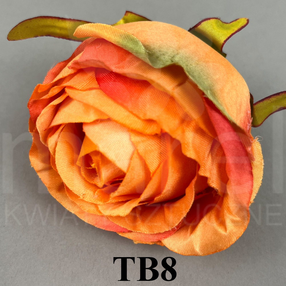 TB8.jpg