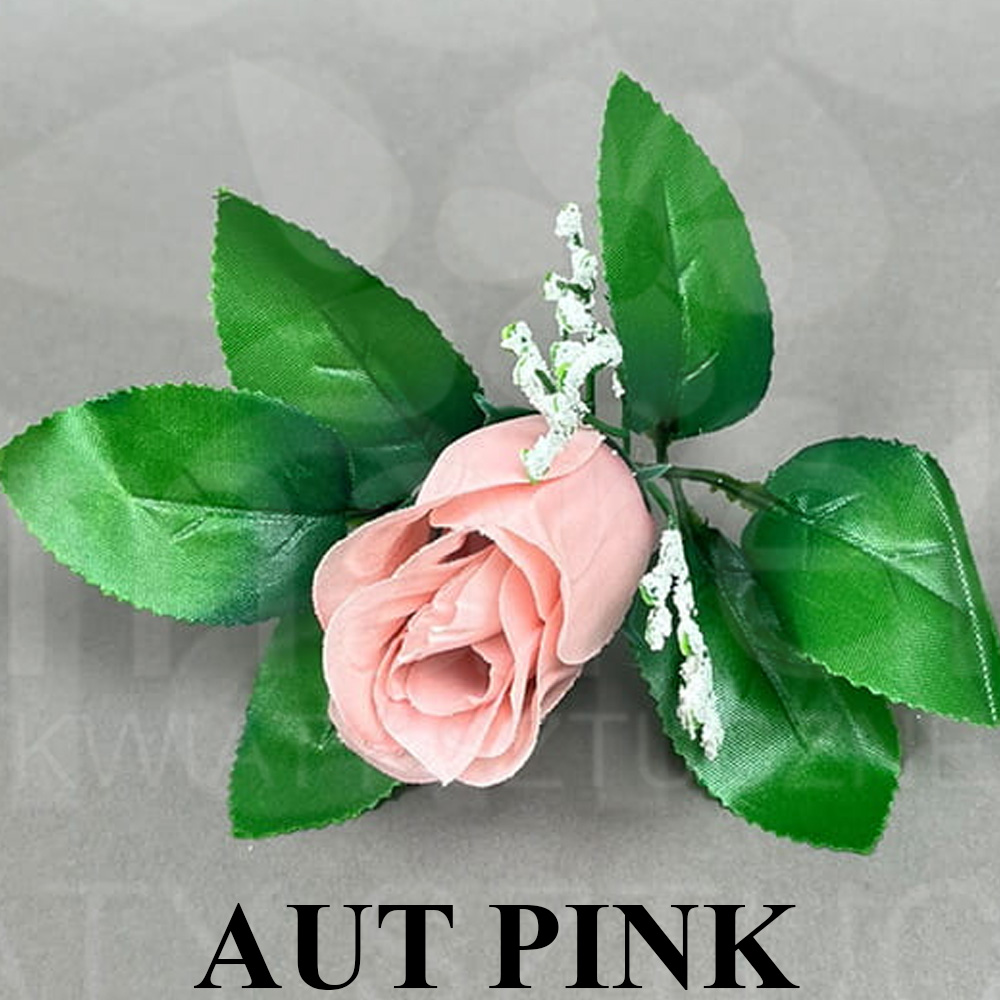 AUT PINK.jpg