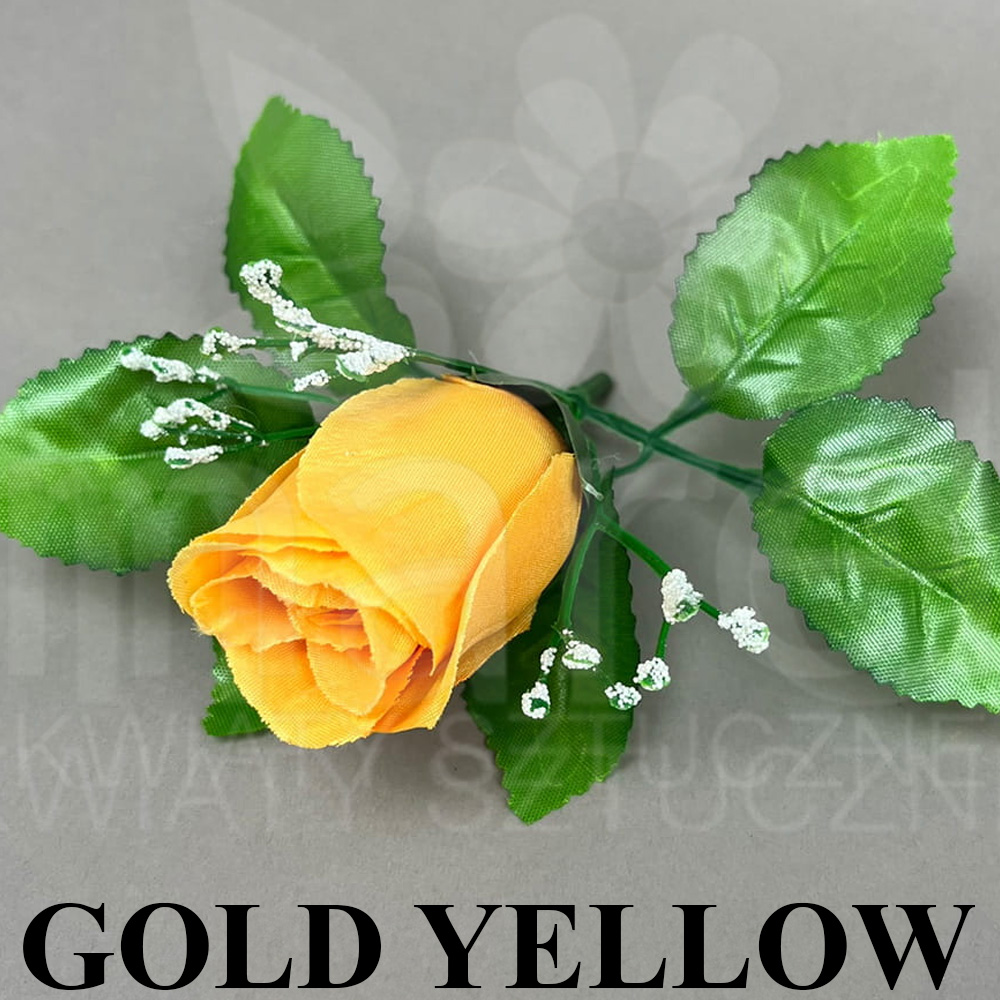 GOLD YELLOW.jpg