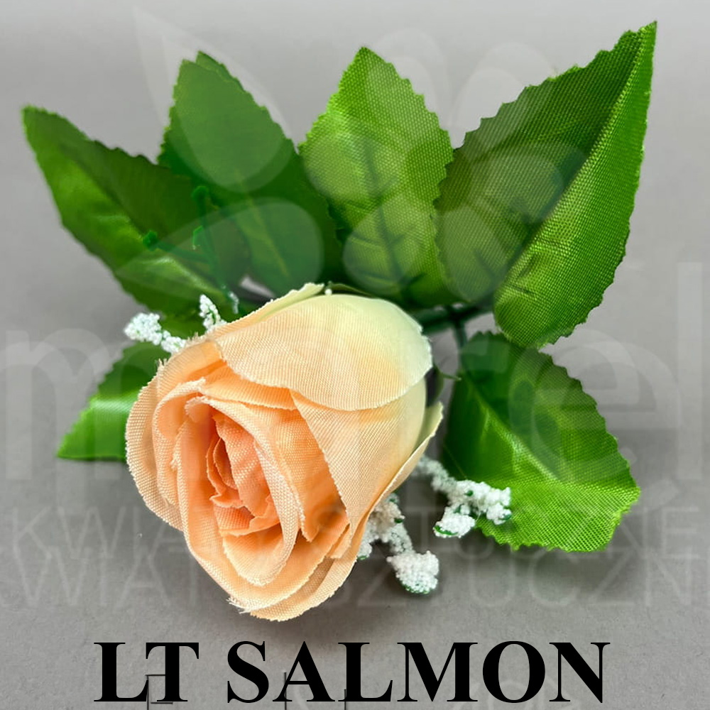 LT SALMON.jpg