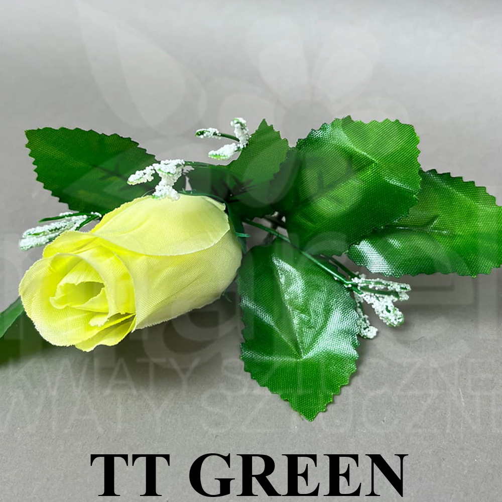 TT GREEN.jpg