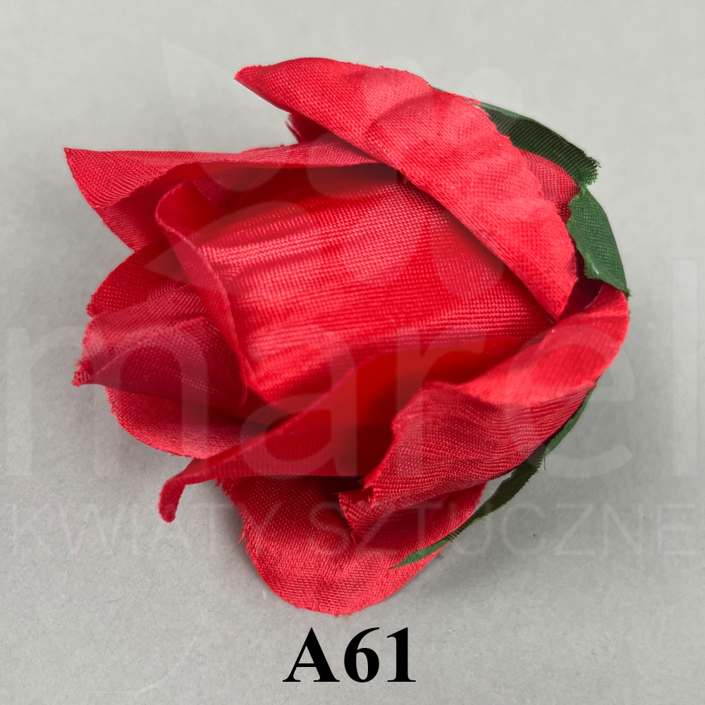 A61.jpg