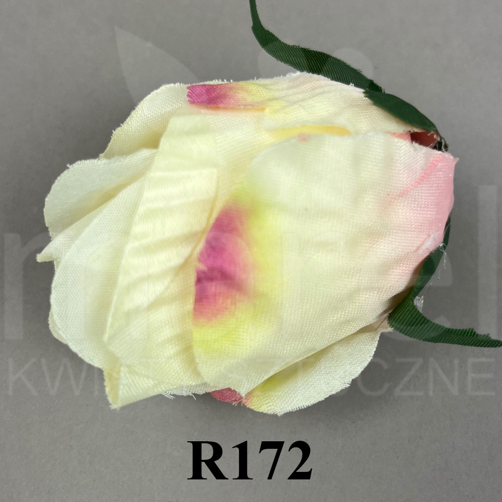 R172.jpg