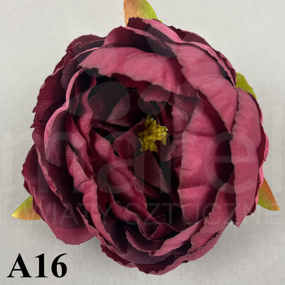 A16.jpg