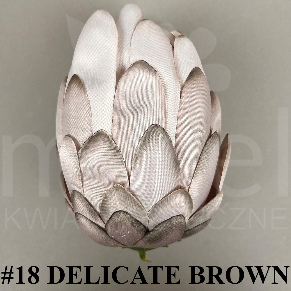 #18 DELICATE BROWN.jpg