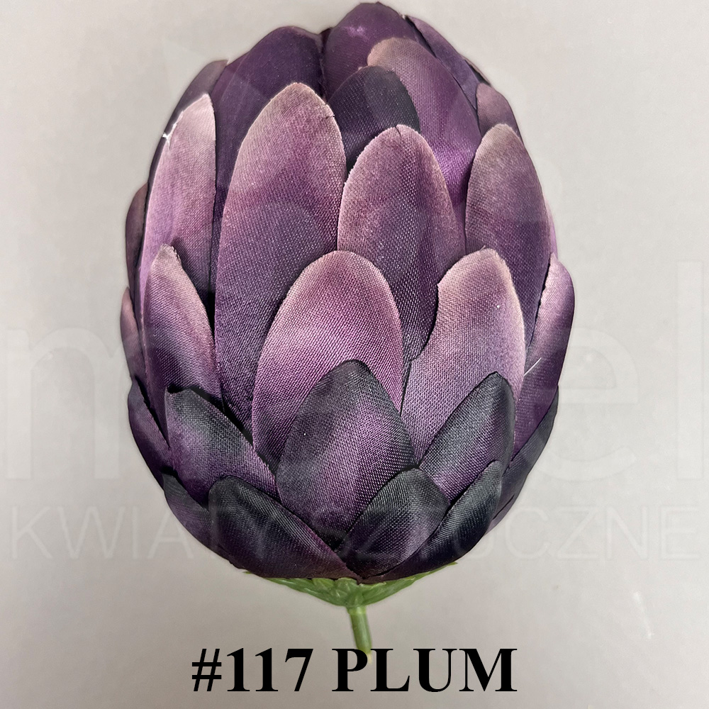 #117 PLUM.jpg