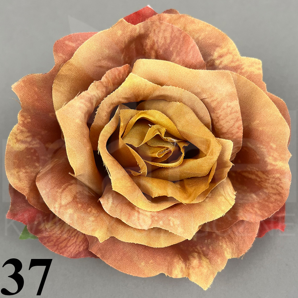37.jpg