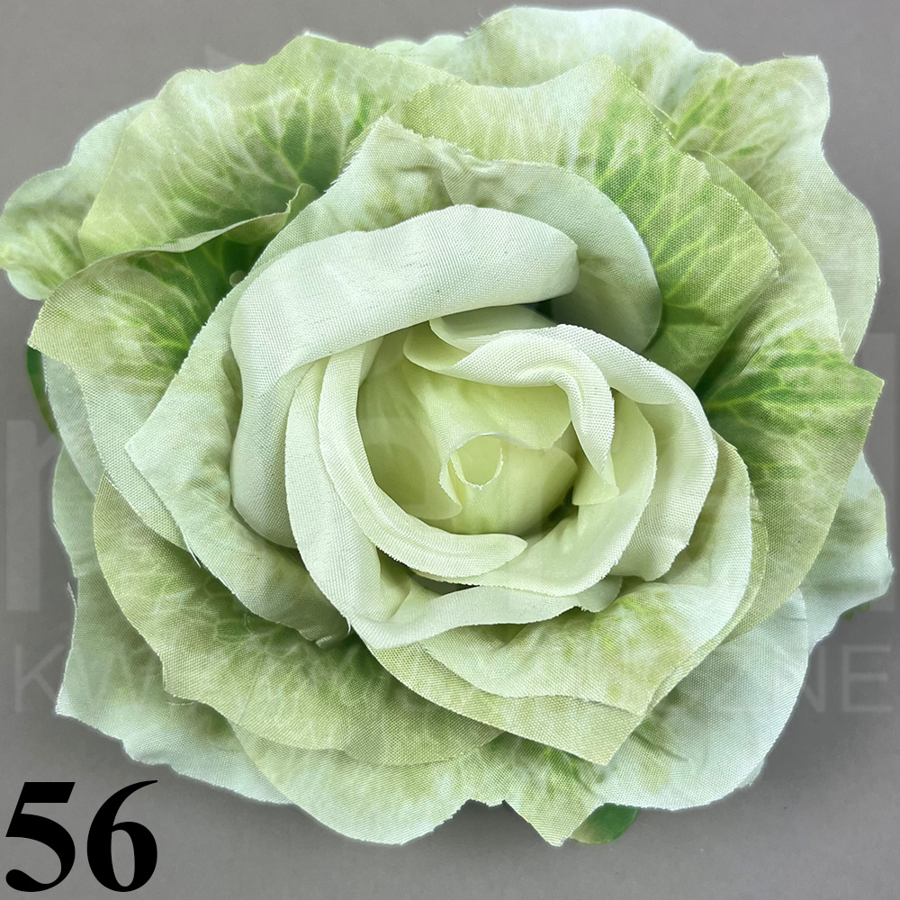 56.jpg