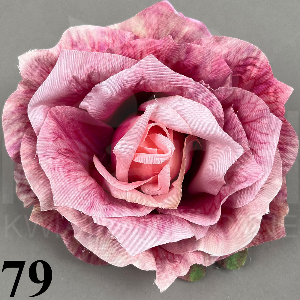 79.jpg