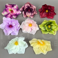 Magnolia LY106