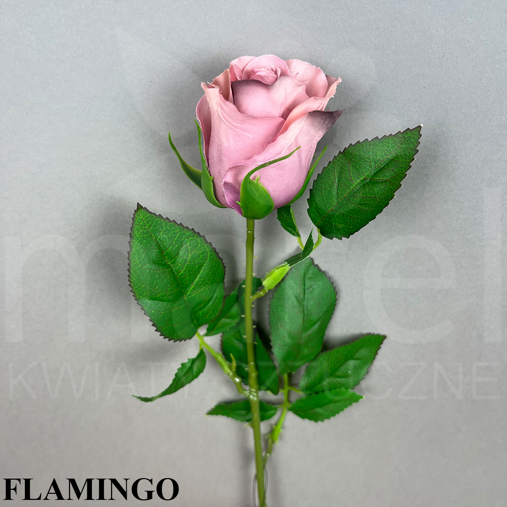 FLAMINGO.jpg