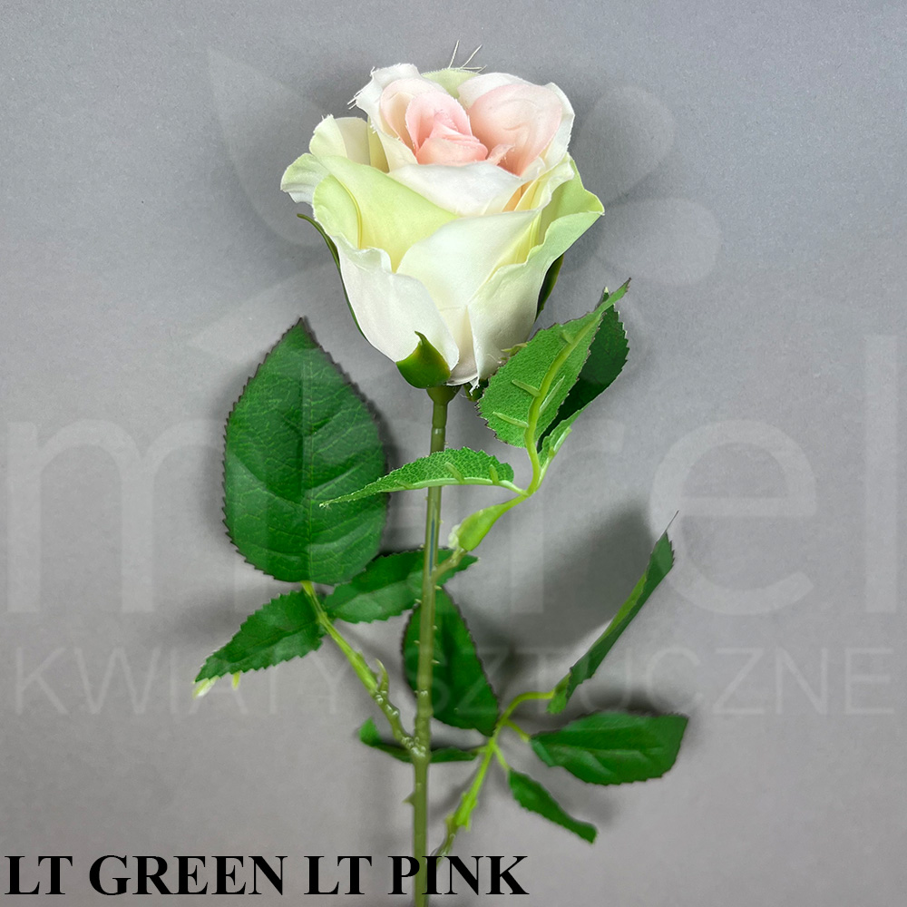 LT GREEN LT PINK.jpg