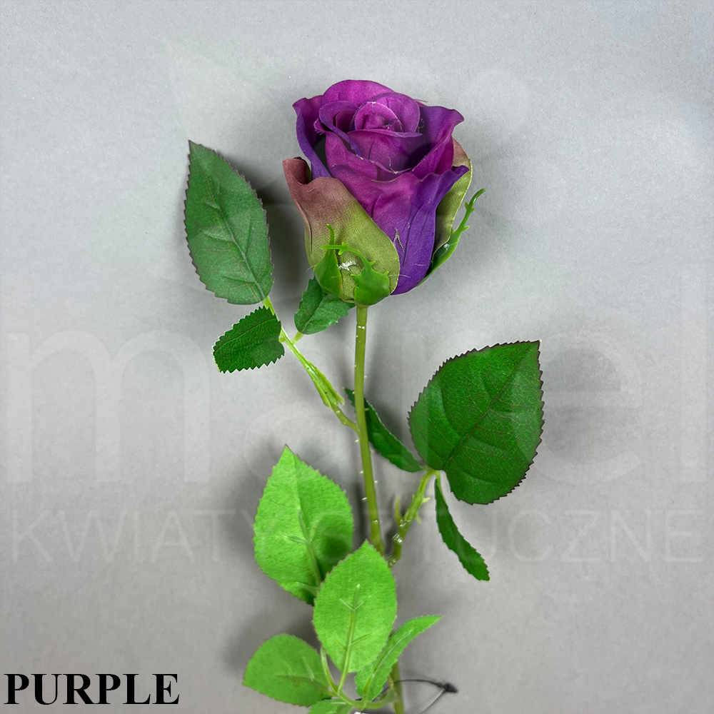 PURPLE.jpg
