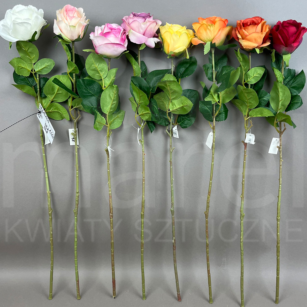 LR2101035 MIX.jpg