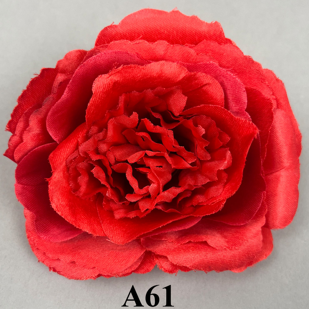 A61.jpg