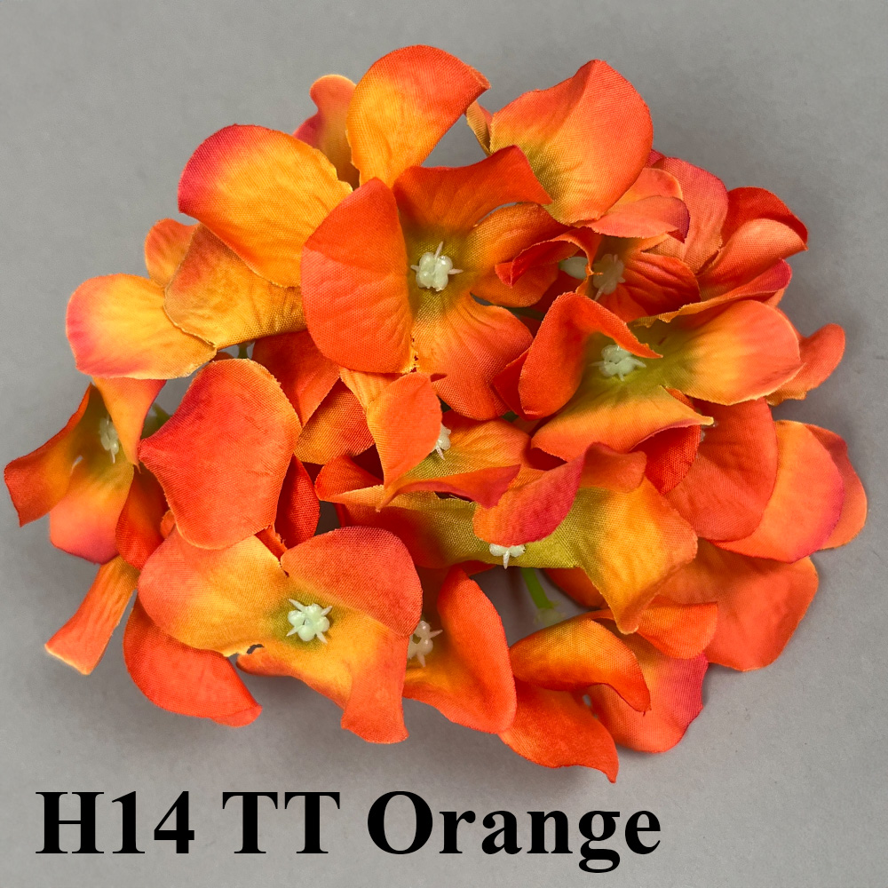 H14 TT Orange .jpg