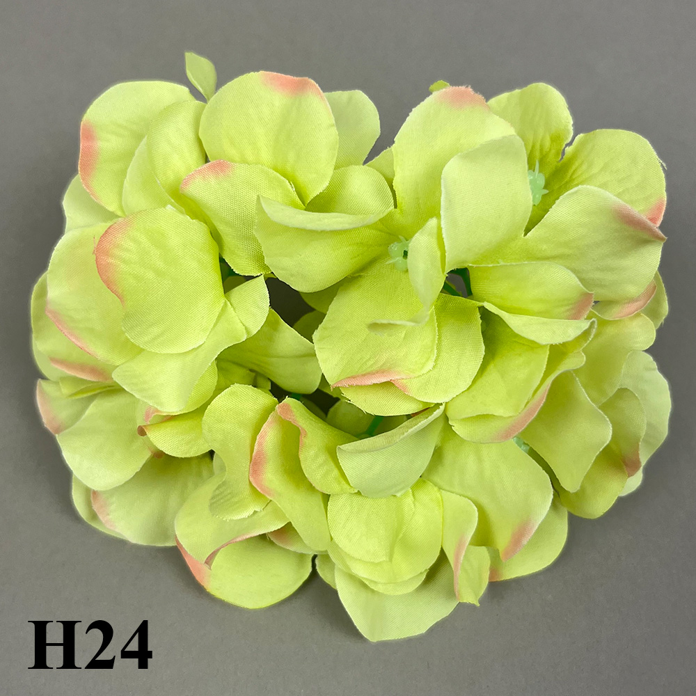 H24.jpg