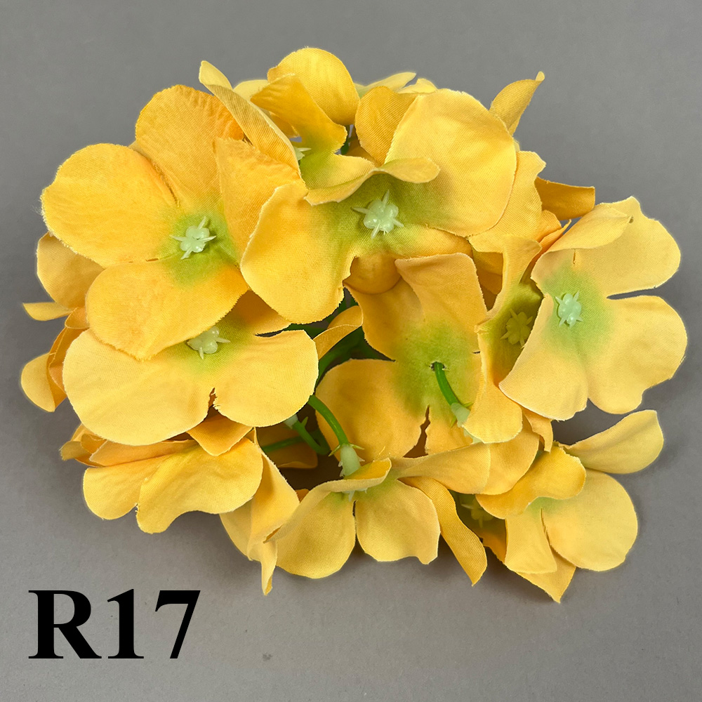 R17.jpg