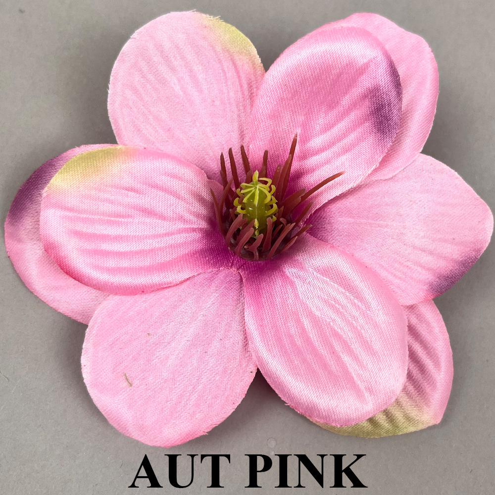 AUT PINK.jpg