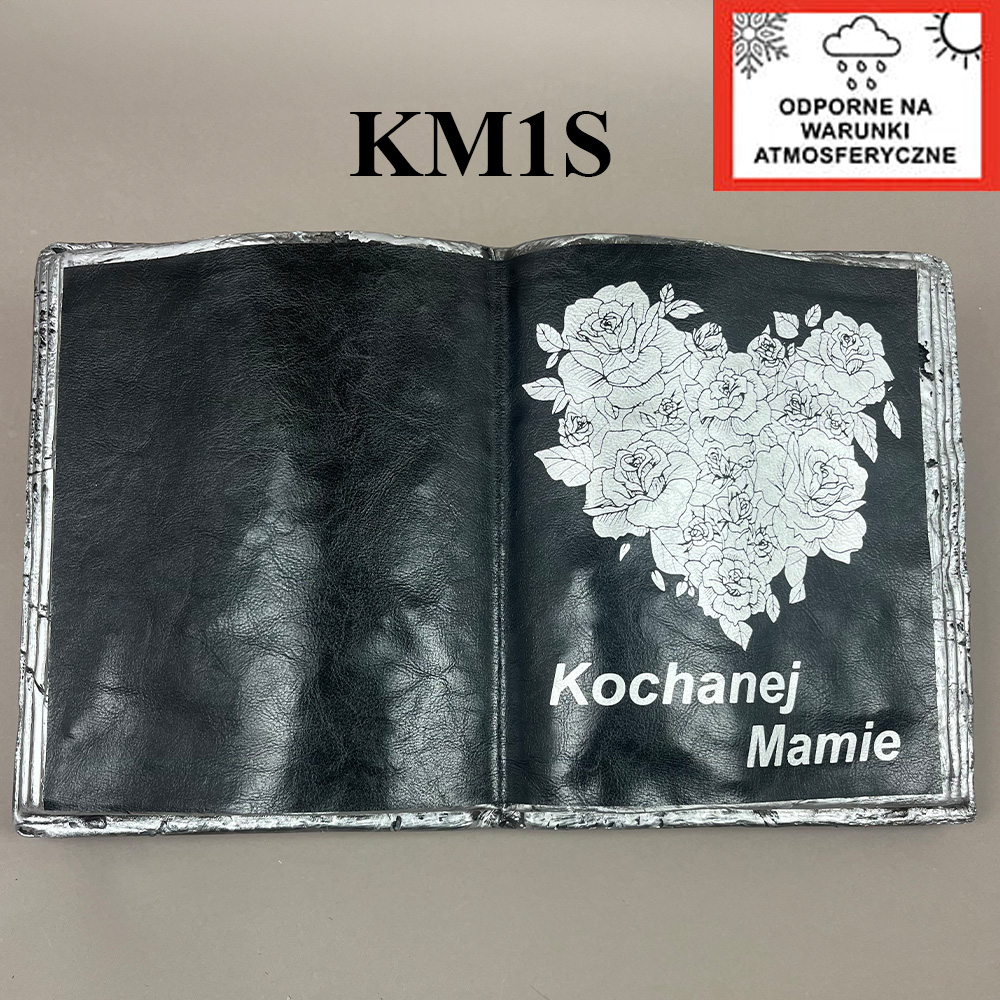 KM1S.jpg