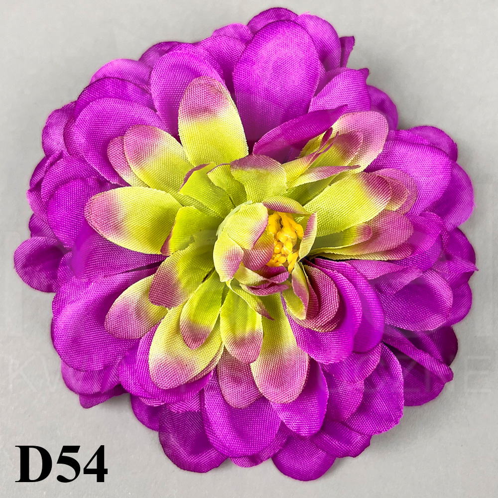 D54.jpg